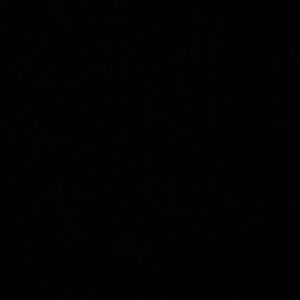 Meet your Posher, Ericka